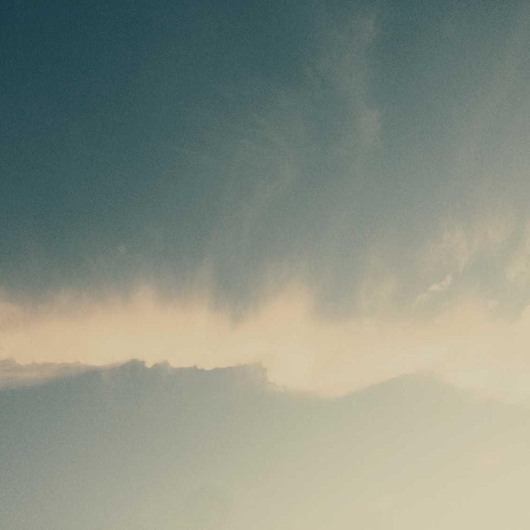 'FanVerse' Team Scarf